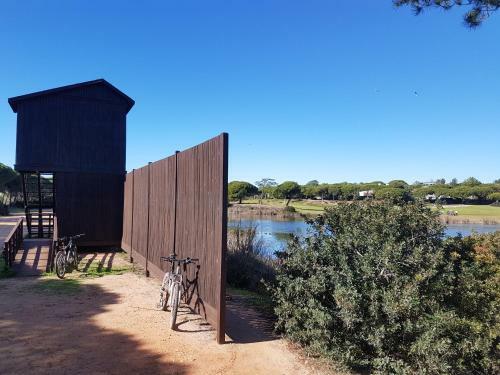 Ria Formosa Pineview