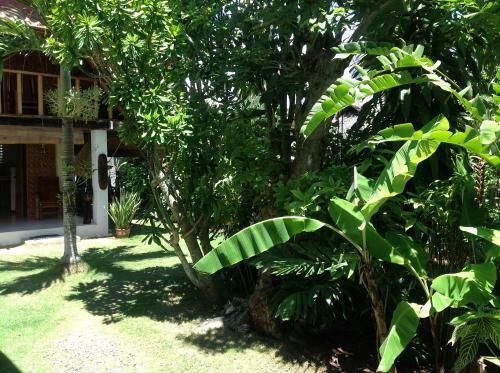 Hotel Alumbung Cottages