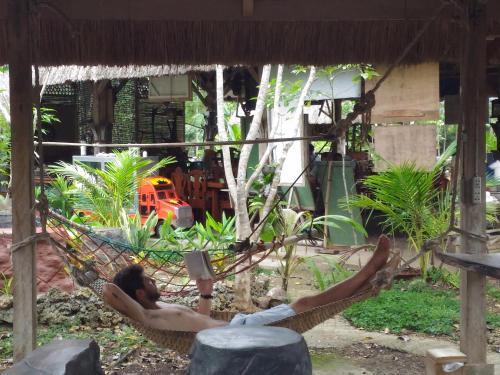 Albergue Bohol Coco Farm