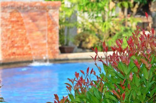Hotel Veraneante Resort