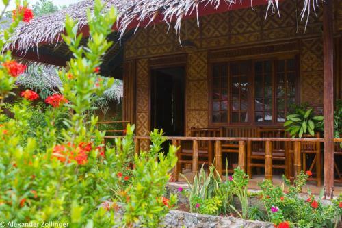 Hotel Oasis Beach And Dive Resort