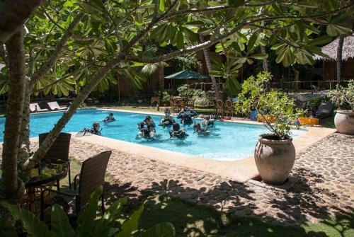 Hotel Oasis Beach And Dive Resort