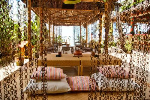 Hotel Oasis Beach And Dive Resort