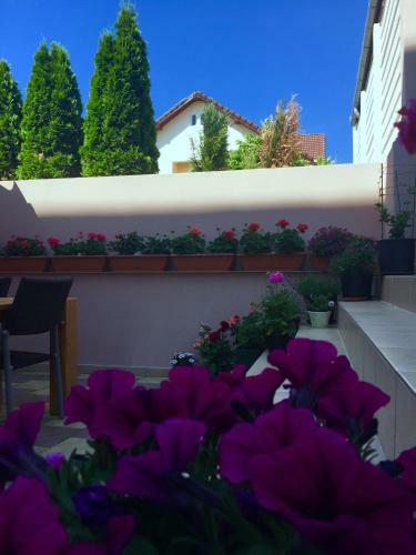Hostal Pension Aroma