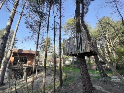 La Datcha Dans Les Pins, Villa D'architecte