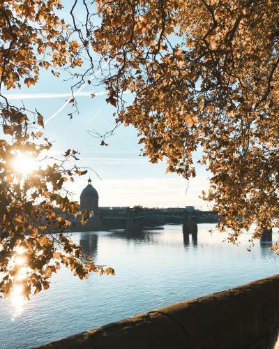 Toulouse Centre Superb Apartment With Parking
