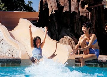 Hotel Disney's Grand Californian
