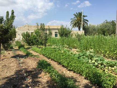 Agroturismo Agriturismo Il Melograno