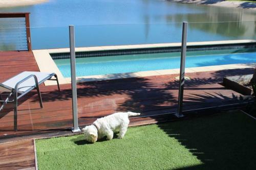 Apartamentos Saltwater Villas - Pet Friendly Accommodation