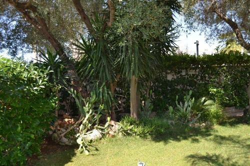 B&B Mary Porto Cesareo