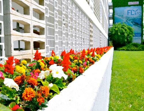 Hotel Decebal