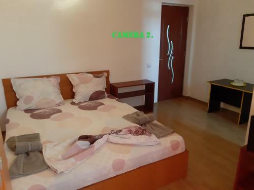 Hostal Andreea & Eliza Avans Obligatoriu