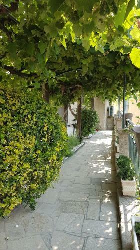 Bed & Breakfast Private Villa Porto
