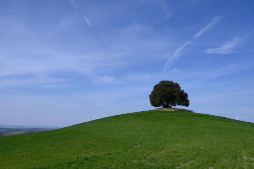 Agroturismo Fattoria Pieve A Salti