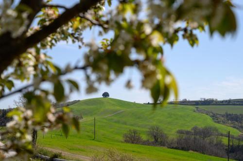 Agroturismo Fattoria Pieve A Salti