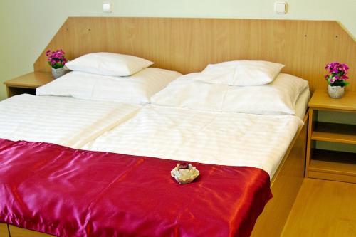 Hostal Term�l Panzi�