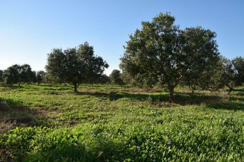 Agroturismo Cortijo La Molina de Cabo de Gata