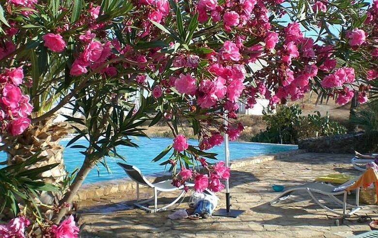 Agroturismo Cortijo Torreblanca