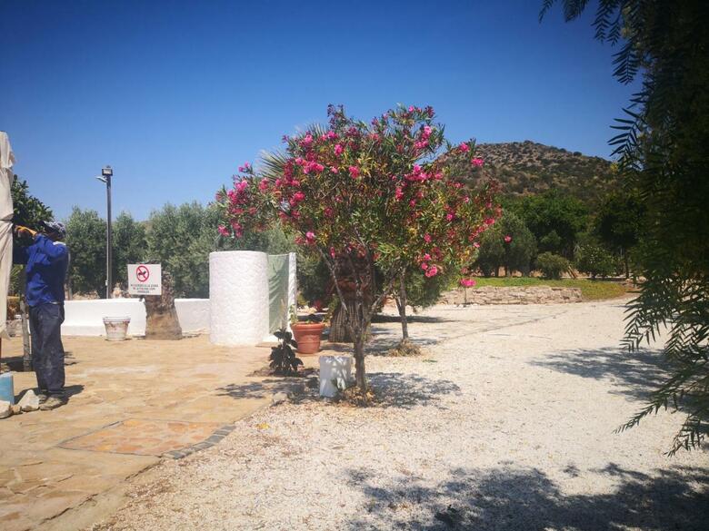 Agroturismo Cortijo Torreblanca