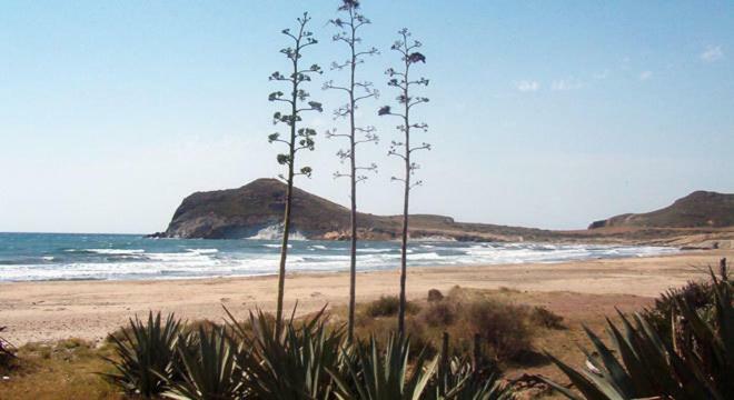 Agroturismo Cortijo Torreblanca