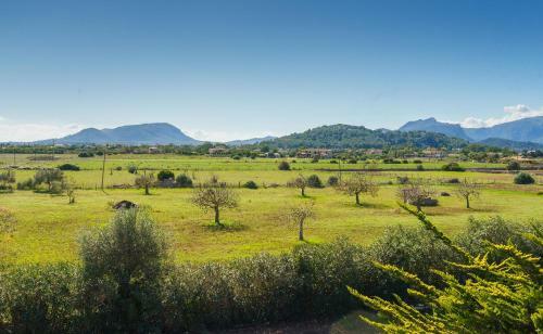 Villa Ca Na Volantina