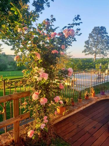 Bed & Breakfast Ca' Dei Gelsi B & B