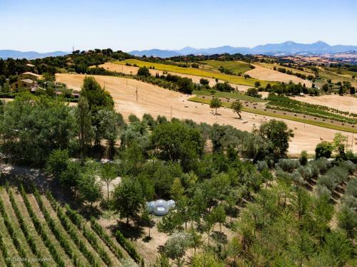 La Bolla Del Borgo. Le Marche Tra Le Stelle.