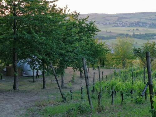 La Bolla Del Borgo. Le Marche Tra Le Stelle.