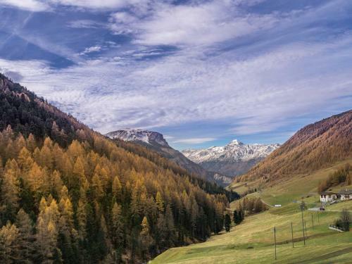 Hotel Alpenfriede
