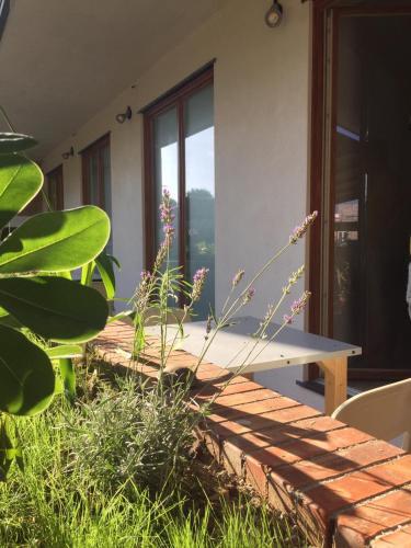 Hostal Affittacamere Sciacchetra'