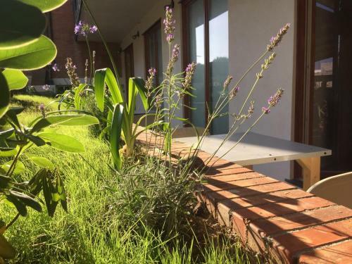 Hostal Affittacamere Sciacchetra'