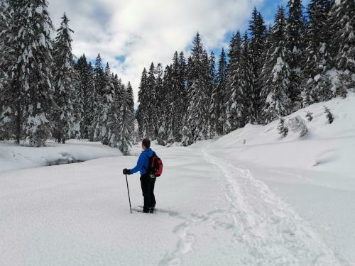 Hotel Garni Sottobosco