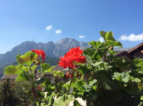 Hotel Albergo Ristorante Brescia