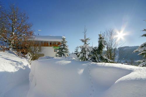 Hostal Pension A Restaurant Karol�na
