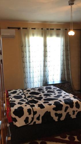 Apartamento Daily Resident