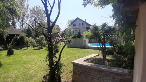 Villa Pool And Garden