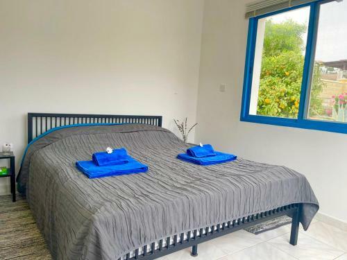 Kallithea Hill Top Villa