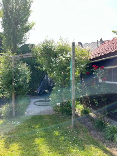 Bed & Breakfast Kamers