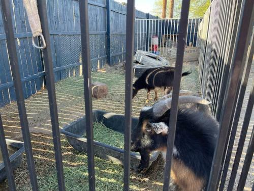 Hobby Farm Guesthouse