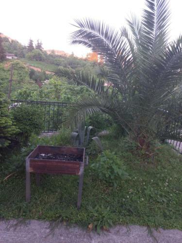 Hostal Lana's Guest Houes