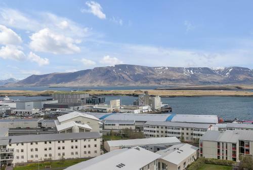 Lovely 1 Bedroom Apartment