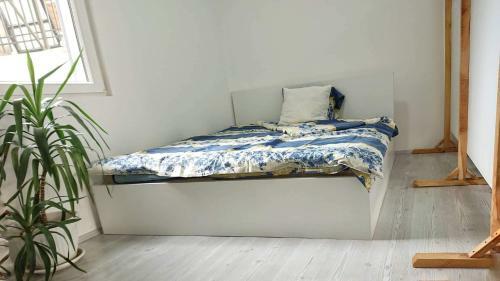 Apartamento Mile