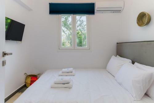 Bleu Clair Luxury Living