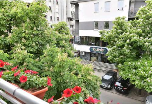 Milica Apartments