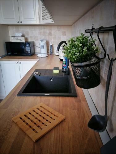 Apartamentul Cet??ii Alba Iulia