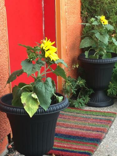 Bed & Breakfast Les R�ves Et Veill�es