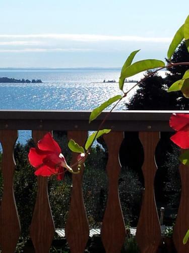 Bed & Breakfast Appartamento Lago Blu