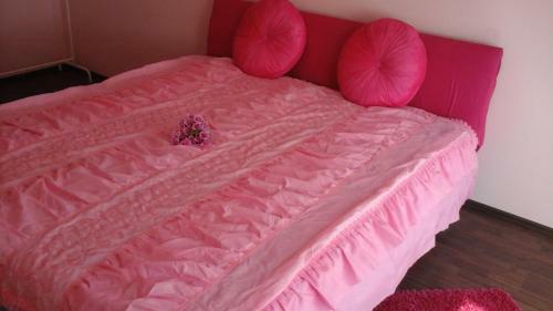 Pavlova Apartment