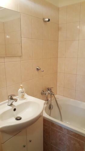Pavlova Apartment