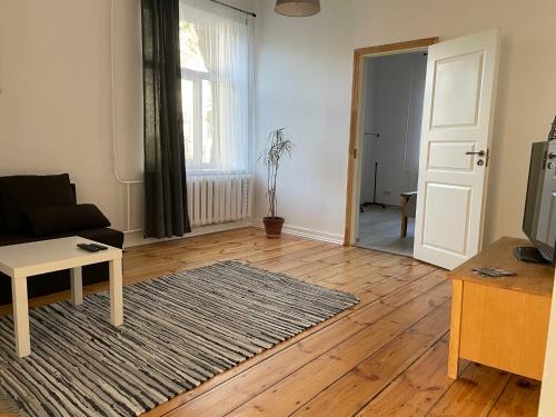 Spacious Ausekla Apartment